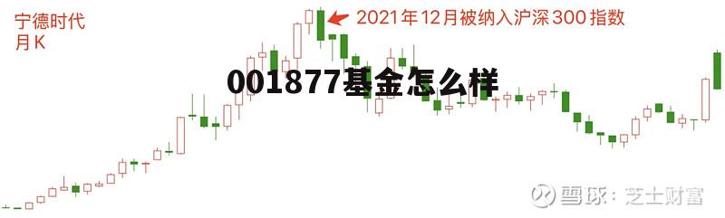 001875这个基金怎么样 001877基金怎么样