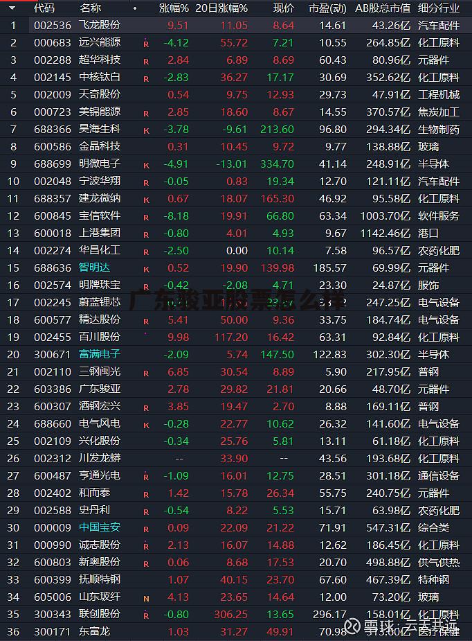 行业龙头股一览表2024 广东骏亚股票怎么样
