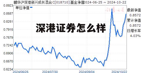 深港证券湖北分公司 深港证券怎么样