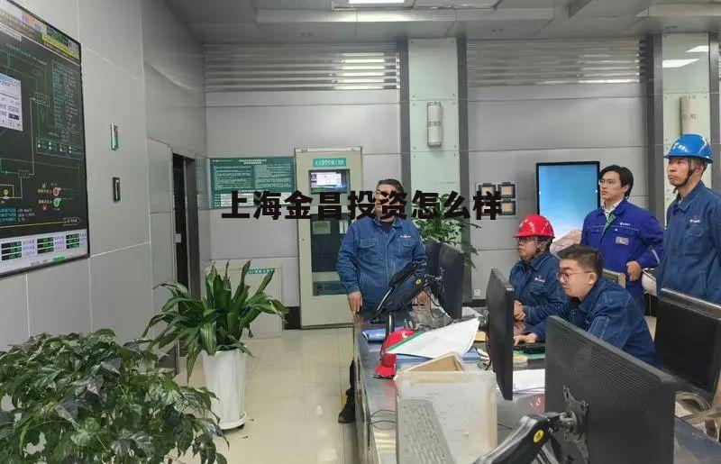 上海金昌工程塑料有限公司怎么样? 上海金昌投资怎么样