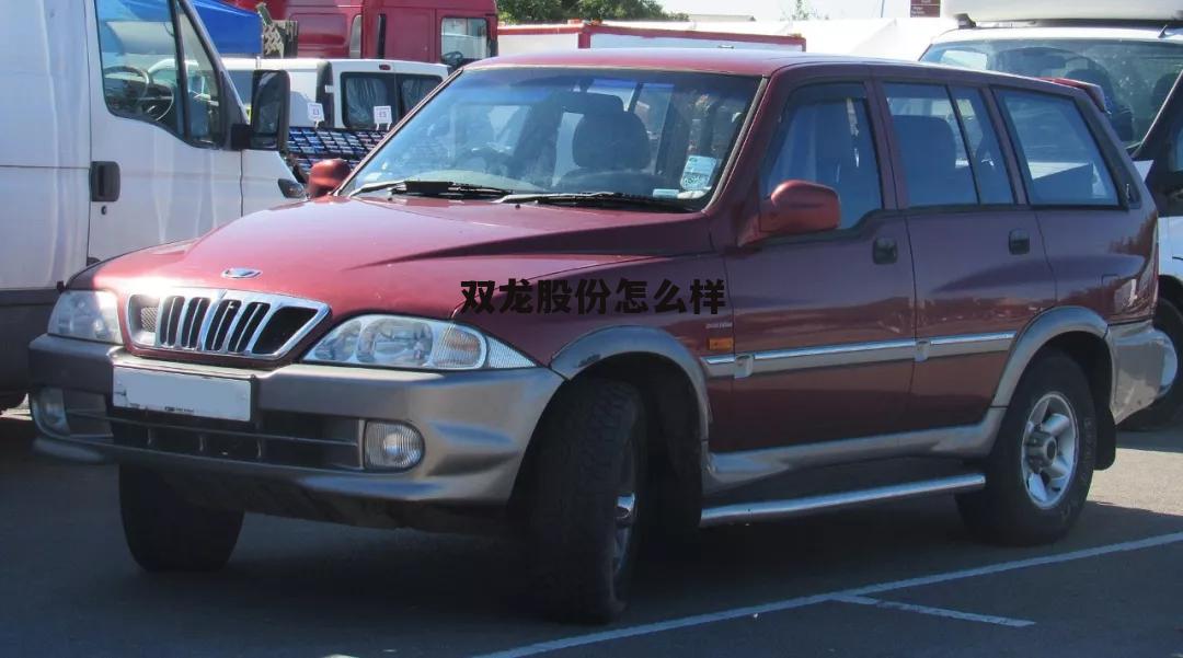 江苏双龙集团待遇怎么样 双龙股份怎么样