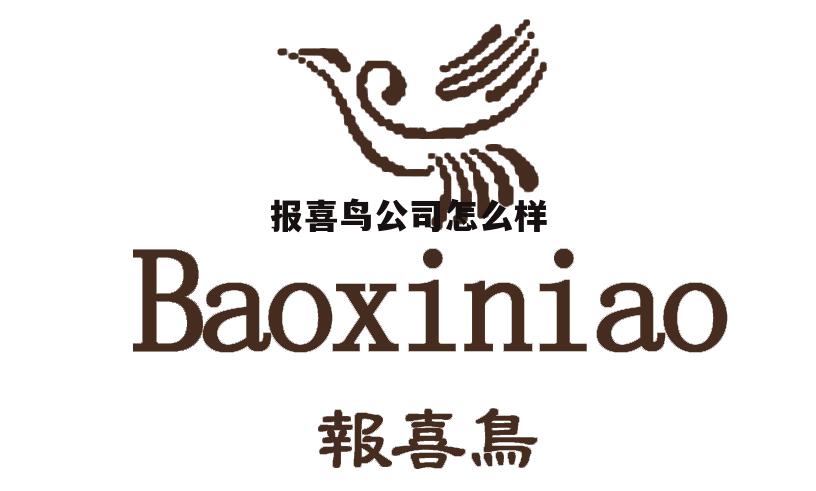 报喜鸟属于哪个集团 报喜鸟公司怎么样