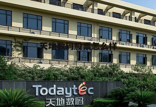 天地数码股票升值潜力 天地数码股票怎么样