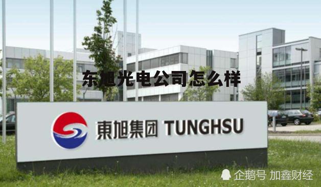 东旭光电企业简介 东旭光电公司怎么样