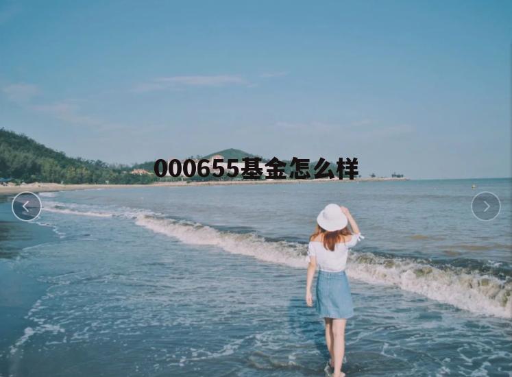 000563基金 000655基金怎么样