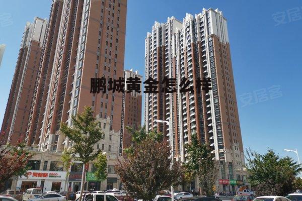 鹏城黄金怎么样知乎 鹏城黄金怎么样