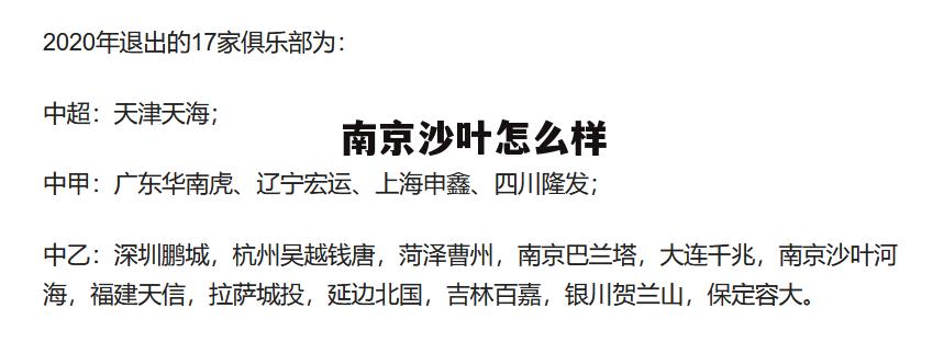 南京沙叶投资管理有限公司 南京沙叶怎么样