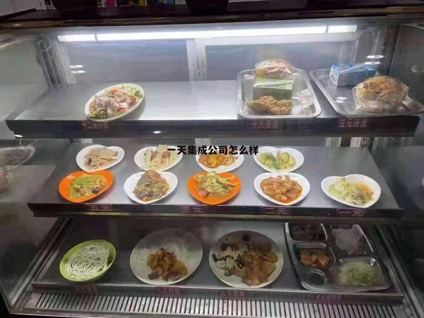 集成公司是什么意思? 一天集成公司怎么样