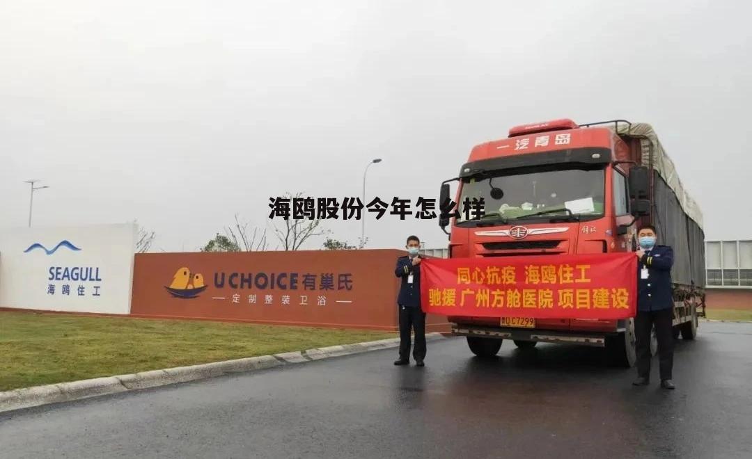 海鸥股份能涨多少 海鸥股份今年怎么样