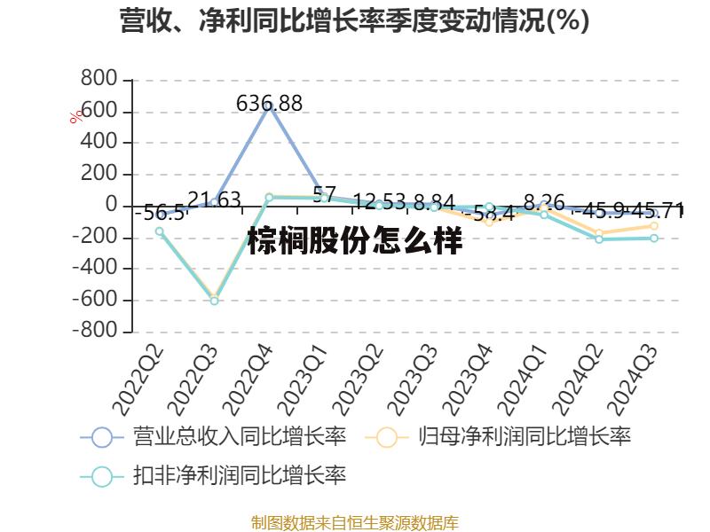 棕榈股份做什么的 棕榈股份怎么样