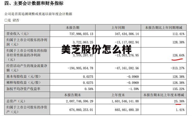 美芝公司怎么样 美芝股份怎么样