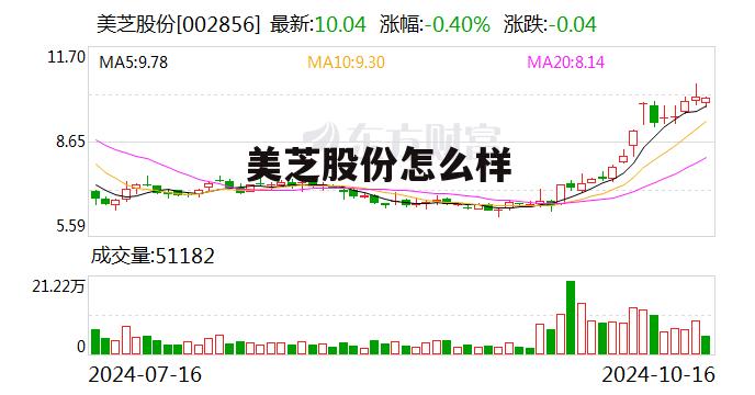 美芝公司怎么样 美芝股份怎么样