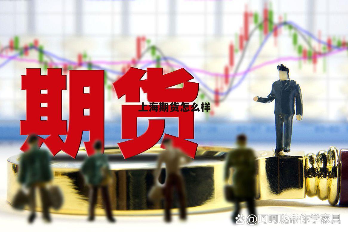 上海期货交易所怎么样 上海期货怎么样