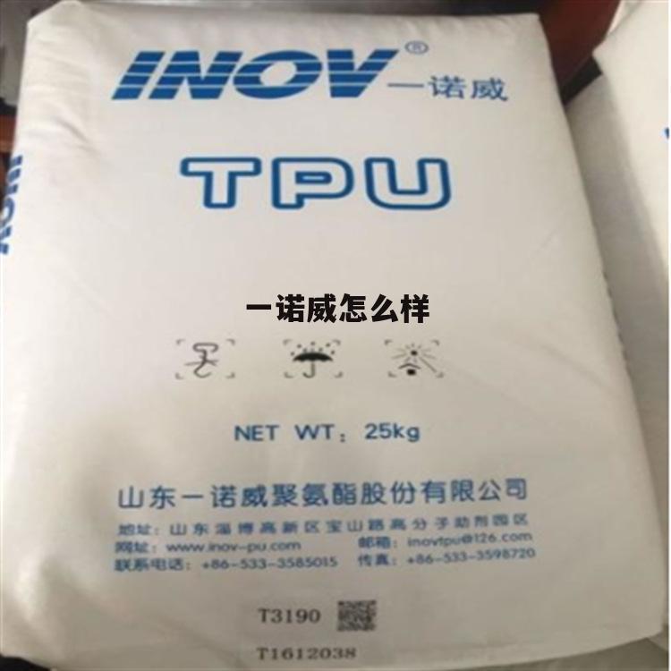 一诺威股份有限公司 一诺威怎么样
