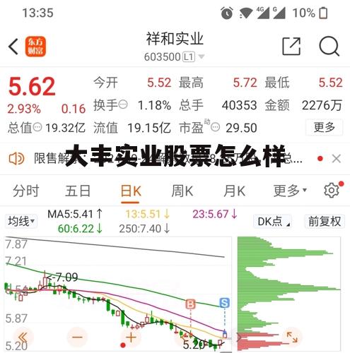 股票大丰实业属于什么板块 大丰实业股票怎么样