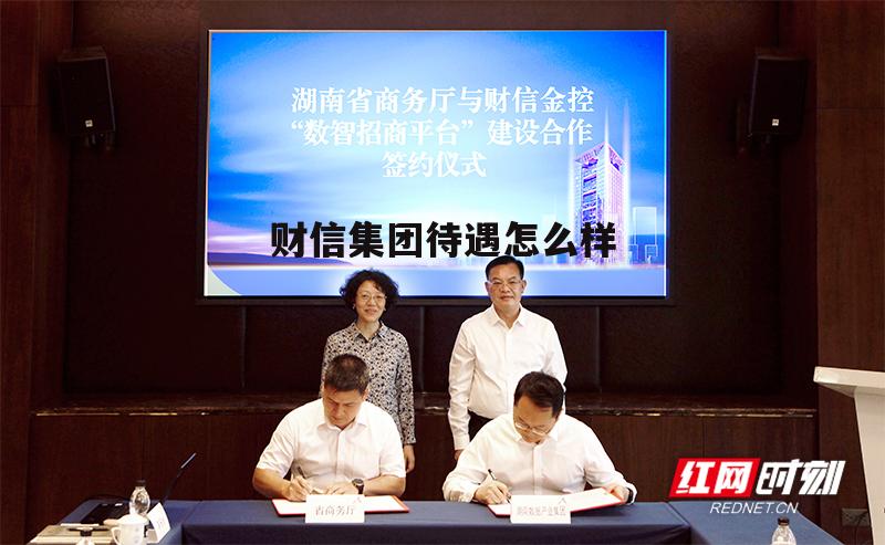 财信集团公司 财信集团待遇怎么样