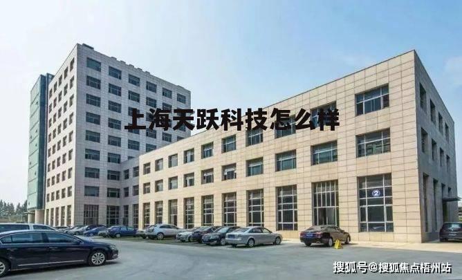 上海天跃科技有限公司怎么样 上海天跃科技怎么样