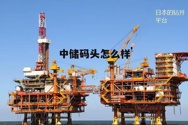 中储发展股份有限公司新港分公司 中储码头怎么样