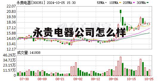 永贵电器的实力 永贵电器公司怎么样