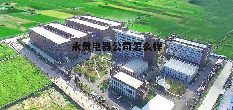 永贵电器的实力 永贵电器公司怎么样