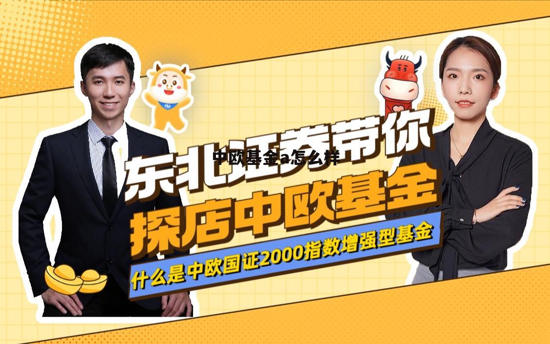 中欧基金怎么样外包的 中欧基金a怎么样