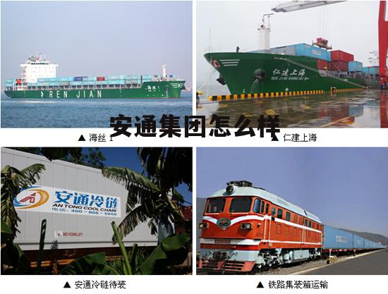 安通控股怎么样 安通集团怎么样