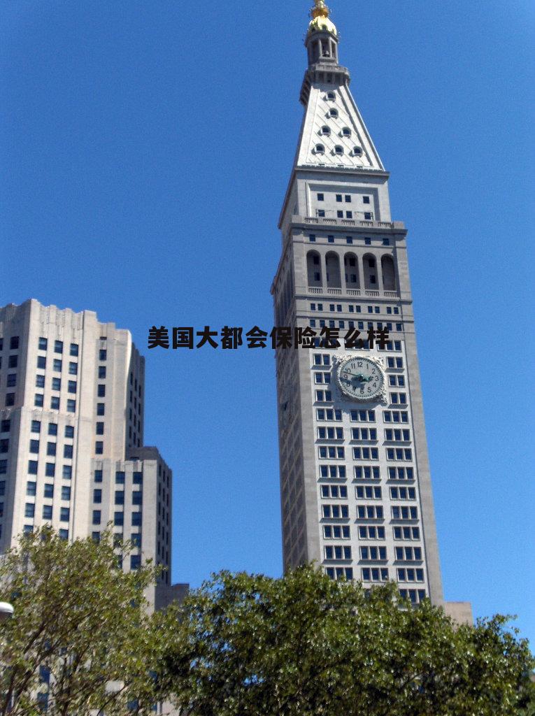 美国大都会保险公司在中国的口碑怎样? 美国大都会保险怎么样