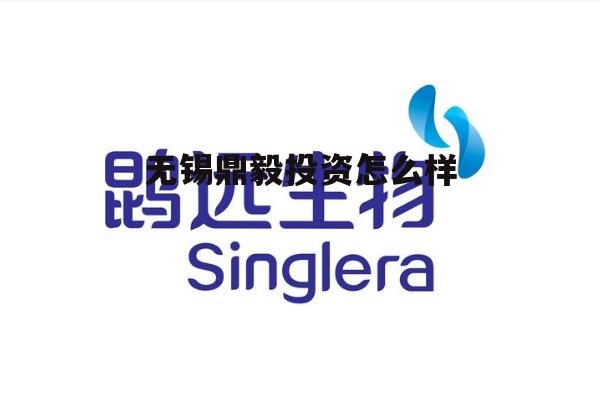 无锡投资公司有几家 无锡鼎毅投资怎么样