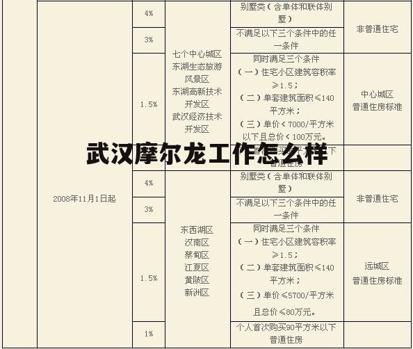 武汉市摩尔龙金融公司 武汉摩尔龙工作怎么样