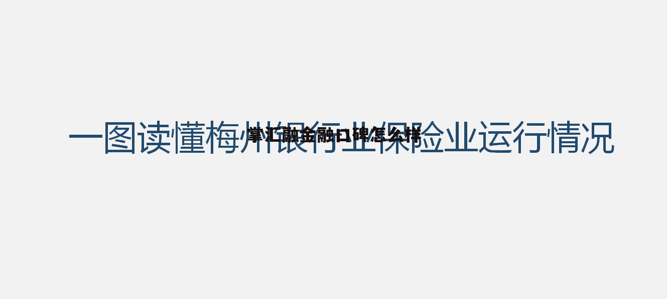 套路ab贷公司最怕什么 掌汇融金融口碑怎么样