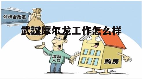 武汉市摩尔龙金融公司 武汉摩尔龙工作怎么样