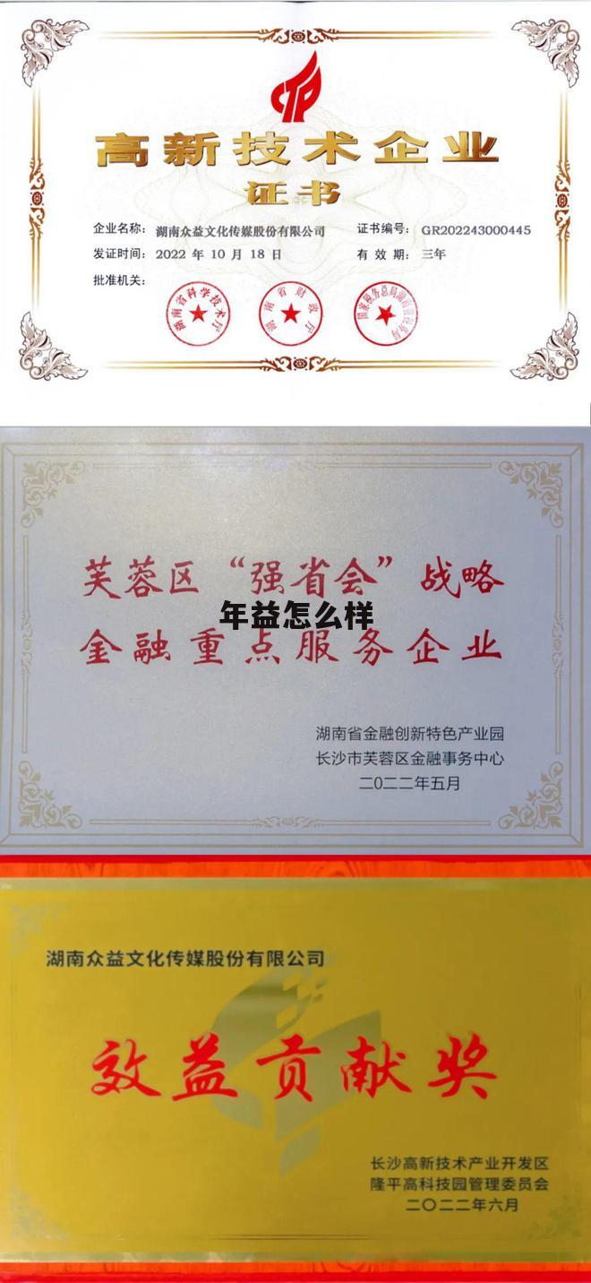 年益科技电子有限公司 年益怎么样